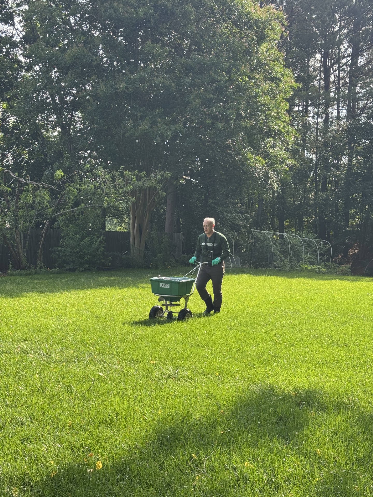 Service image medium 2