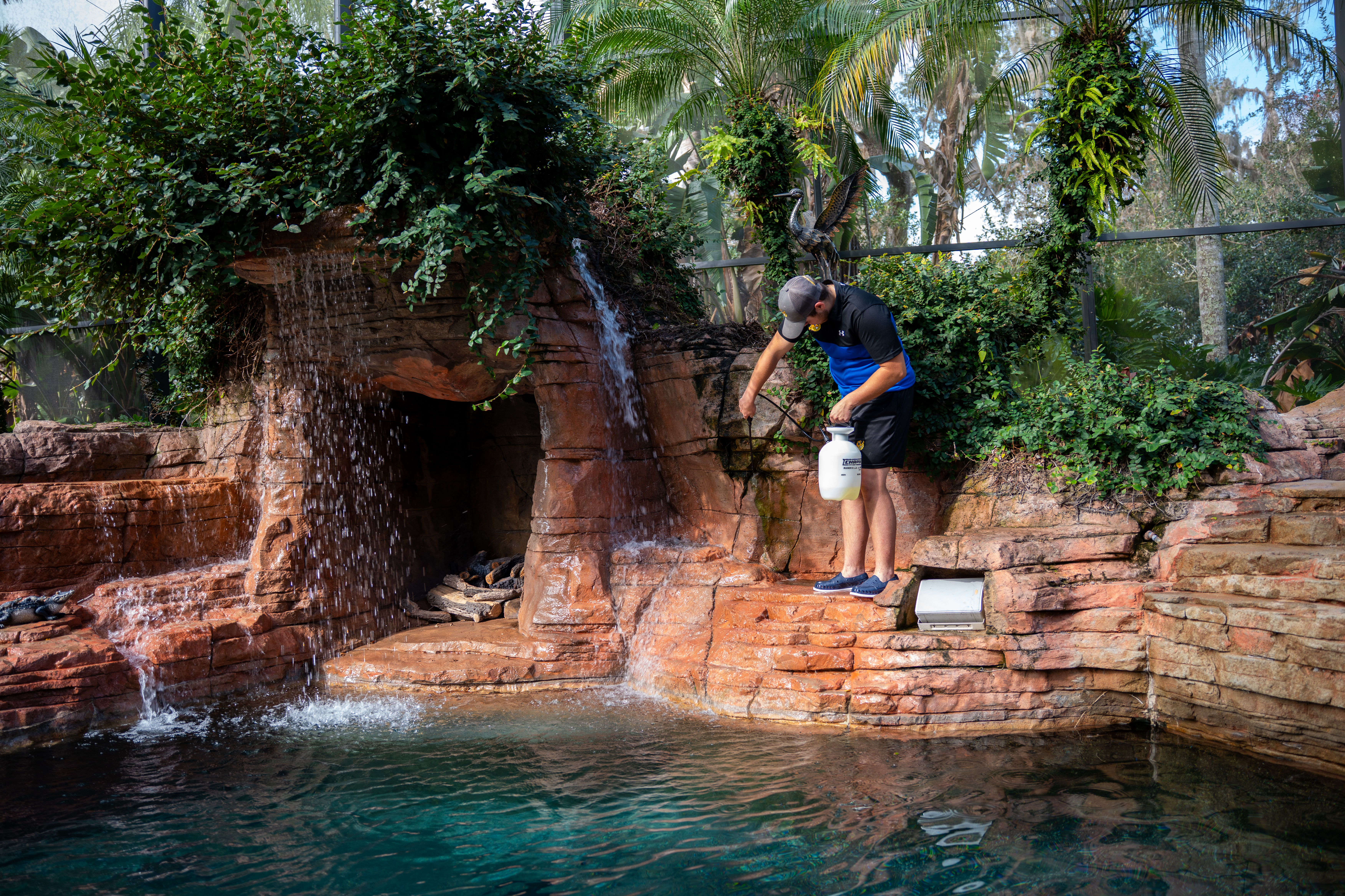 Service image medium