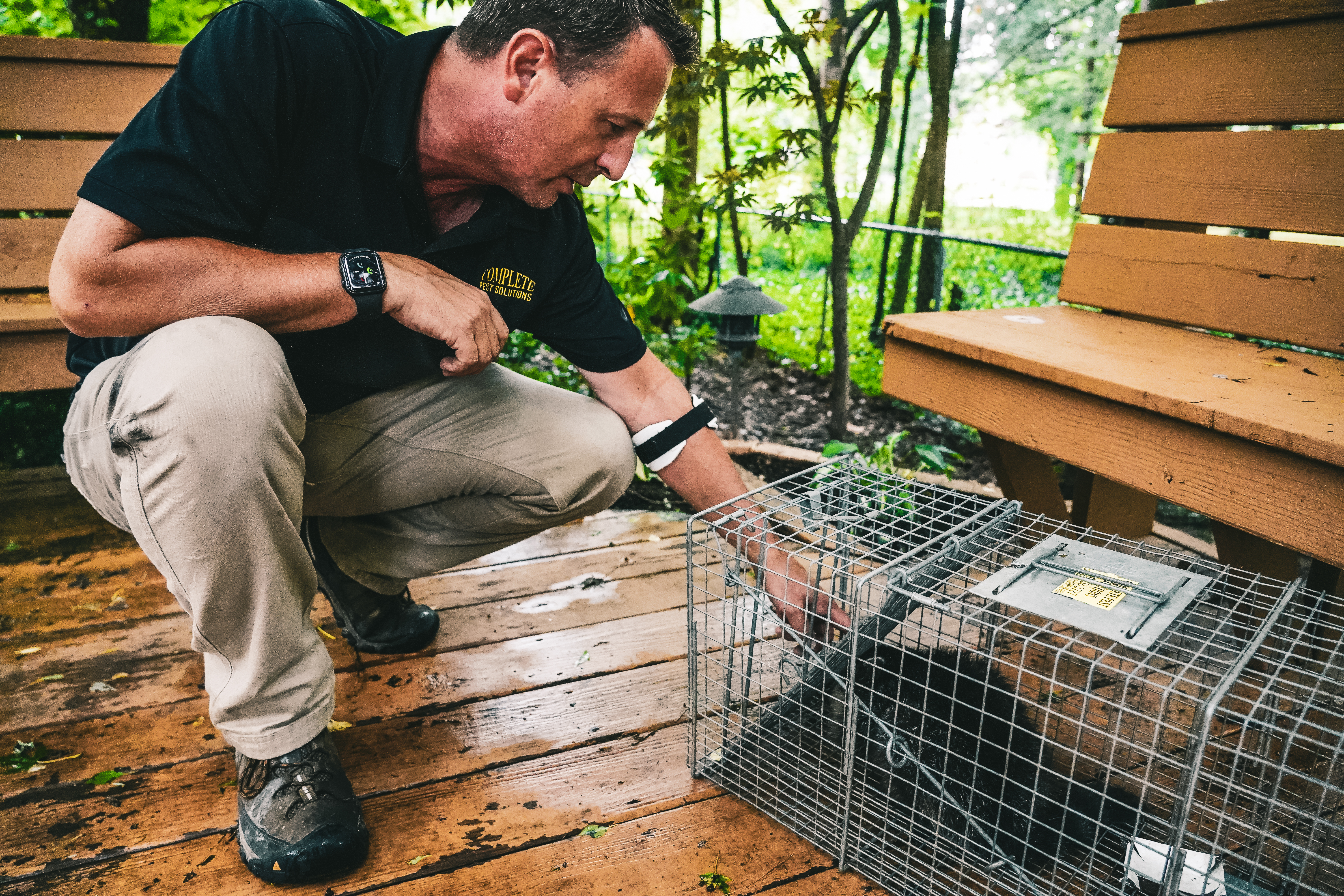 Service image large 2