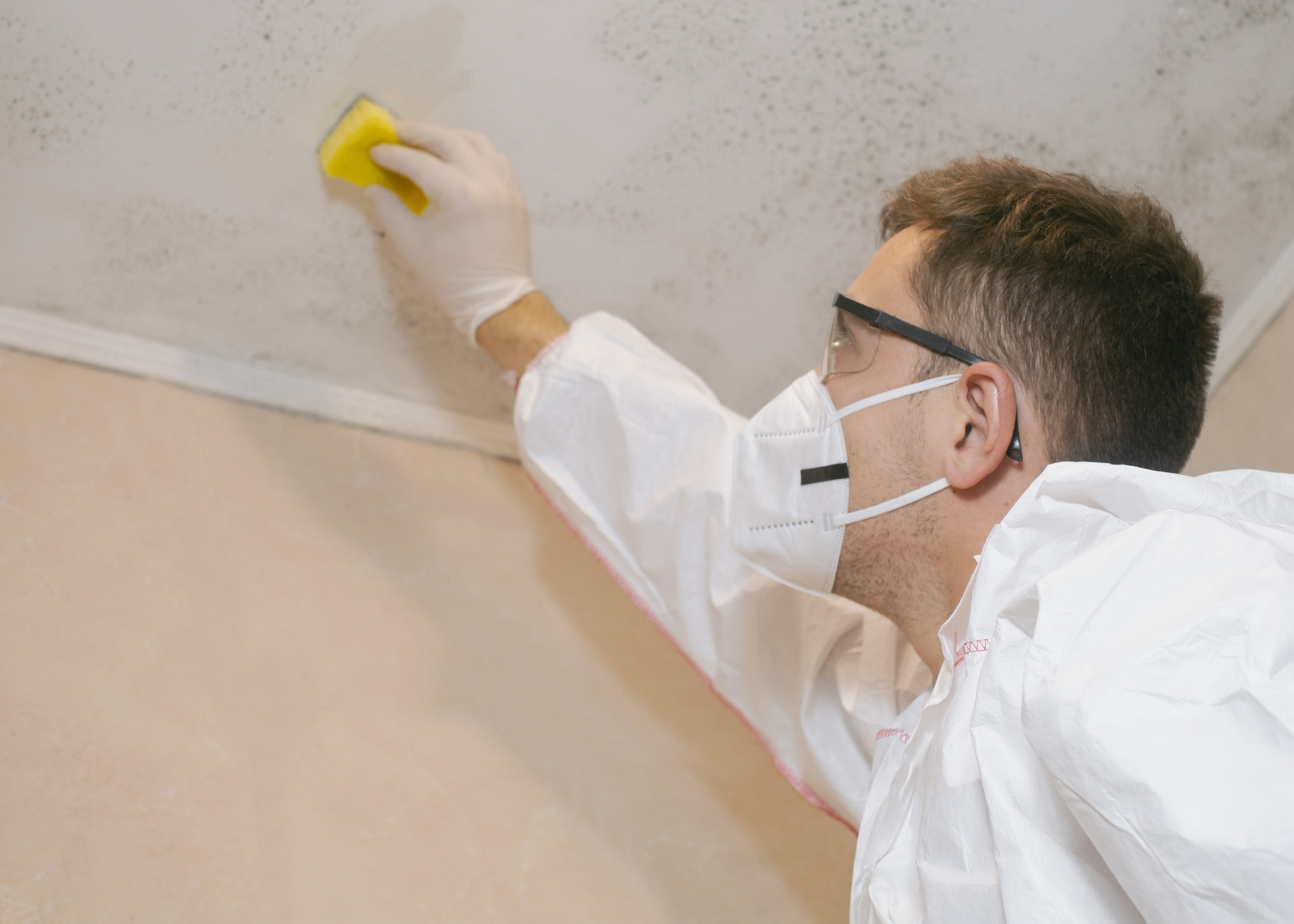 Service image medium 2