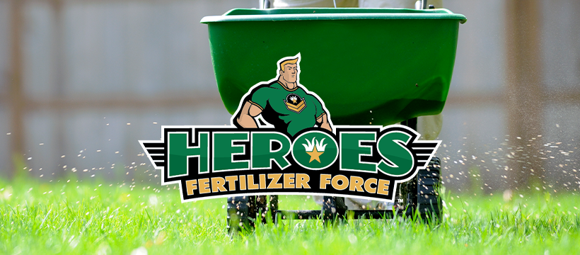 Service image medium 2