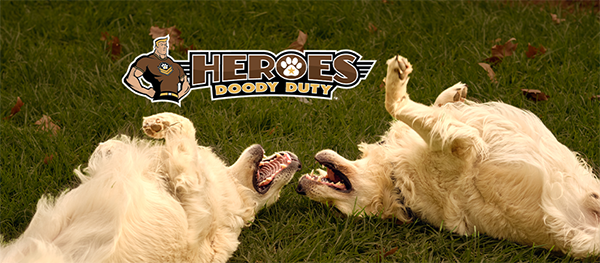 Service image large 2