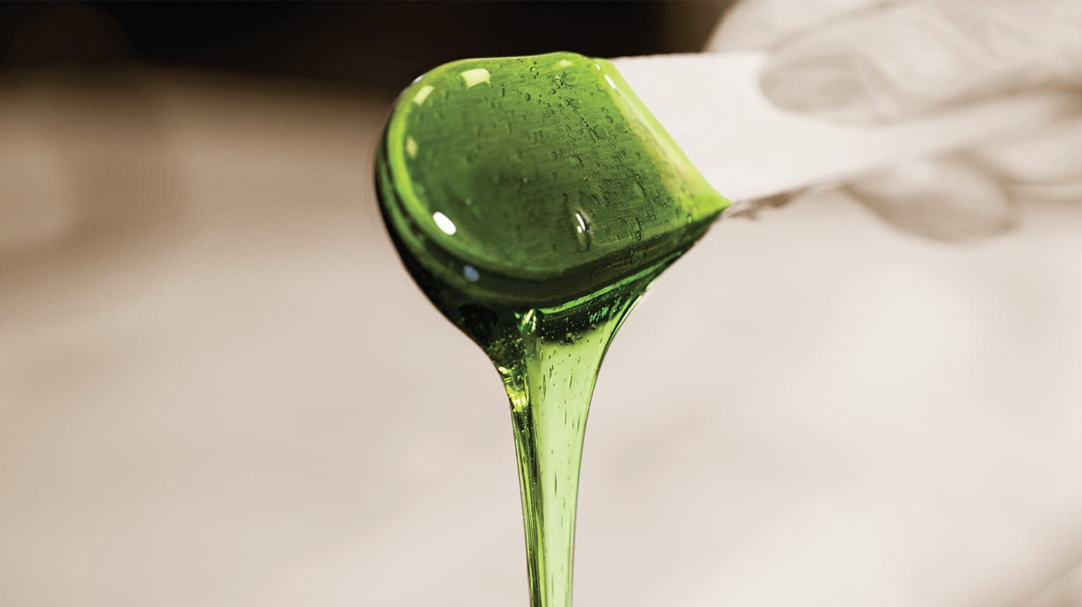 Service image large 2