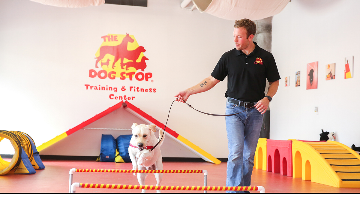 Service image medium 2