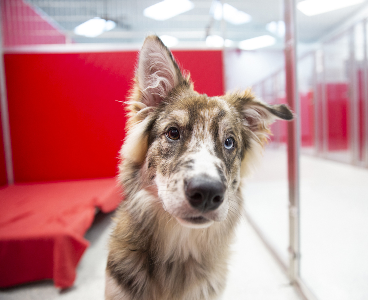 Service image small 2