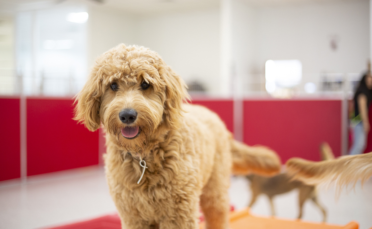 Service image large 2