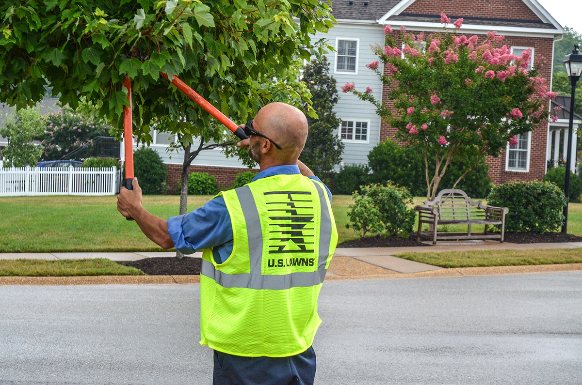 Service image medium