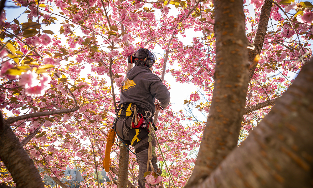 Service image medium 2