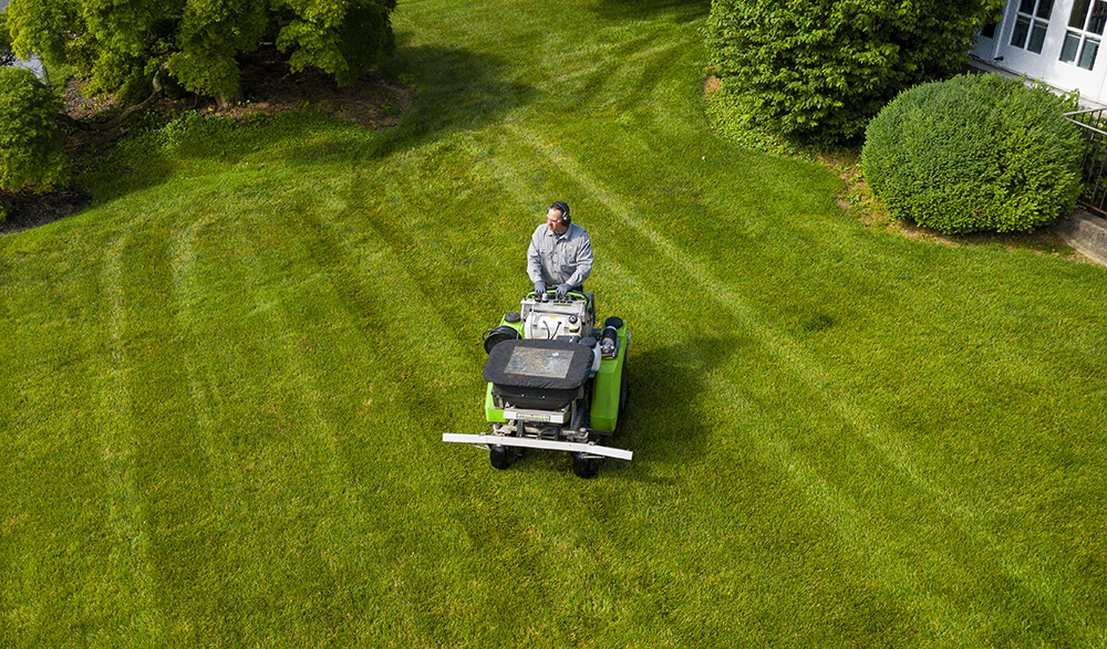 Service image large 2