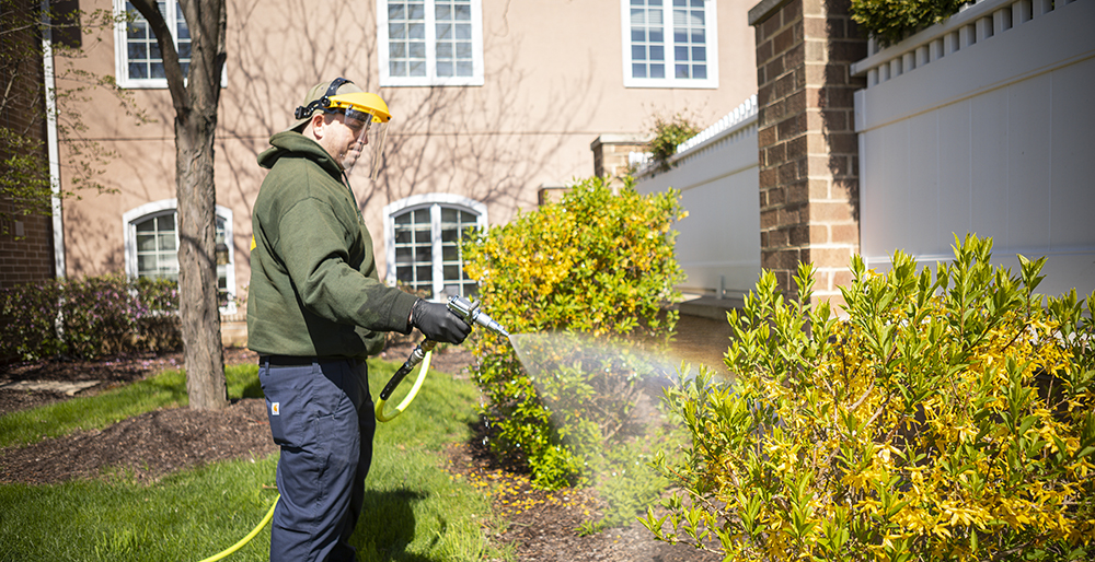 Service image medium