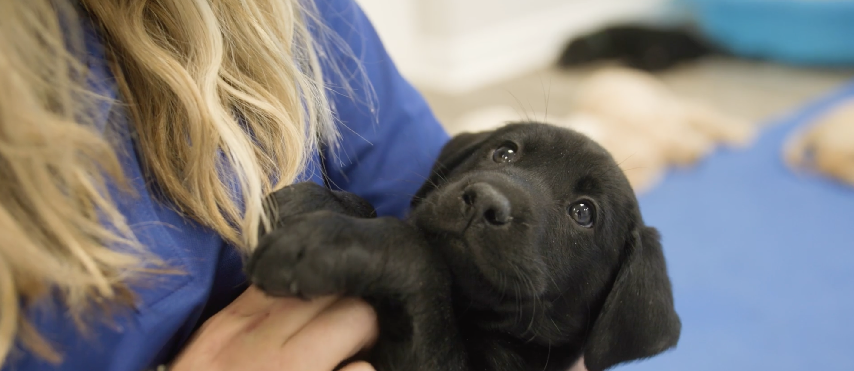 Service image medium 2