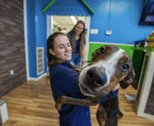 Service image medium 2