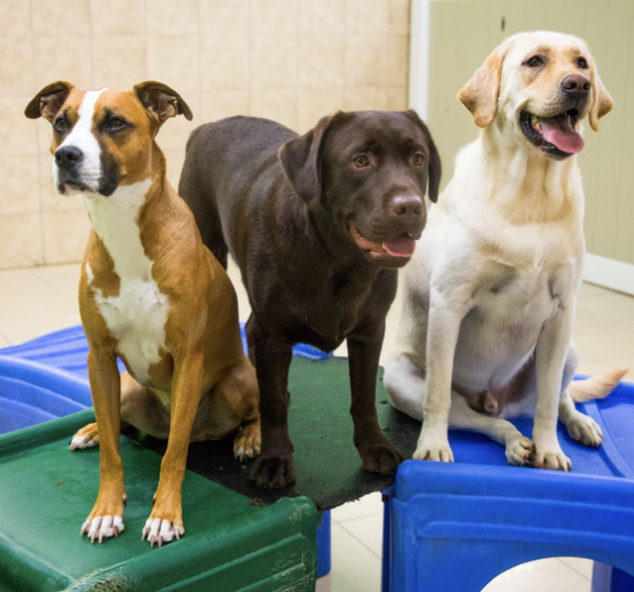 Service image small 2