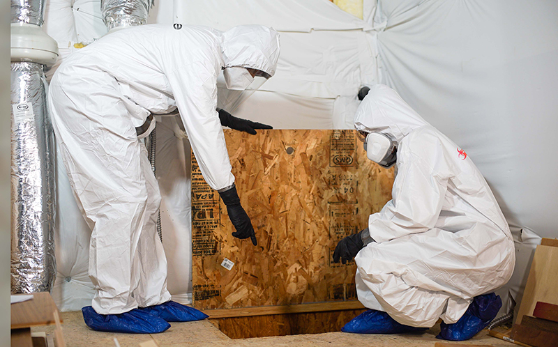 Service image large 2