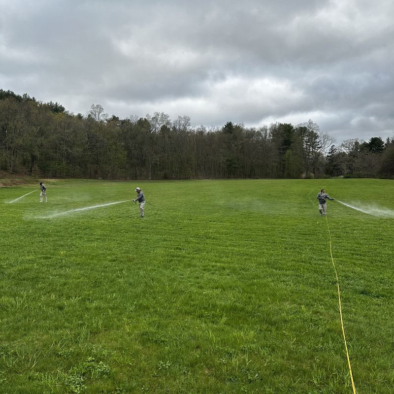 Service image medium 2