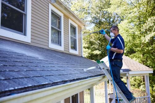 Service image medium 2