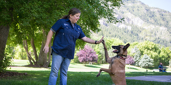 Service image medium