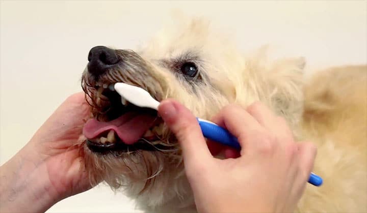 Service image small 2