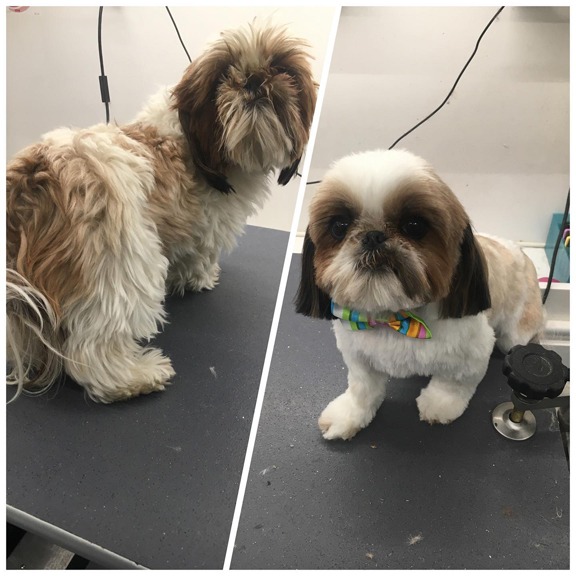 Service image medium