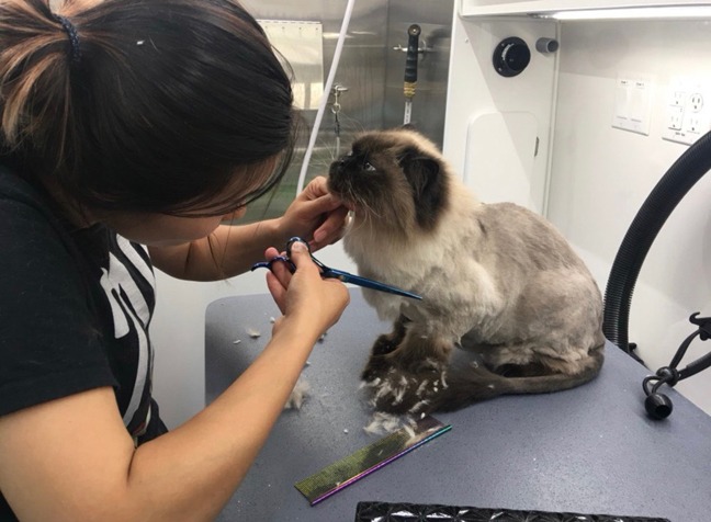 Service image small 2