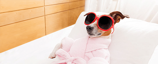 Service image large 2