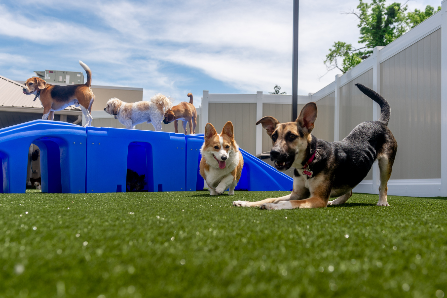 Service image medium