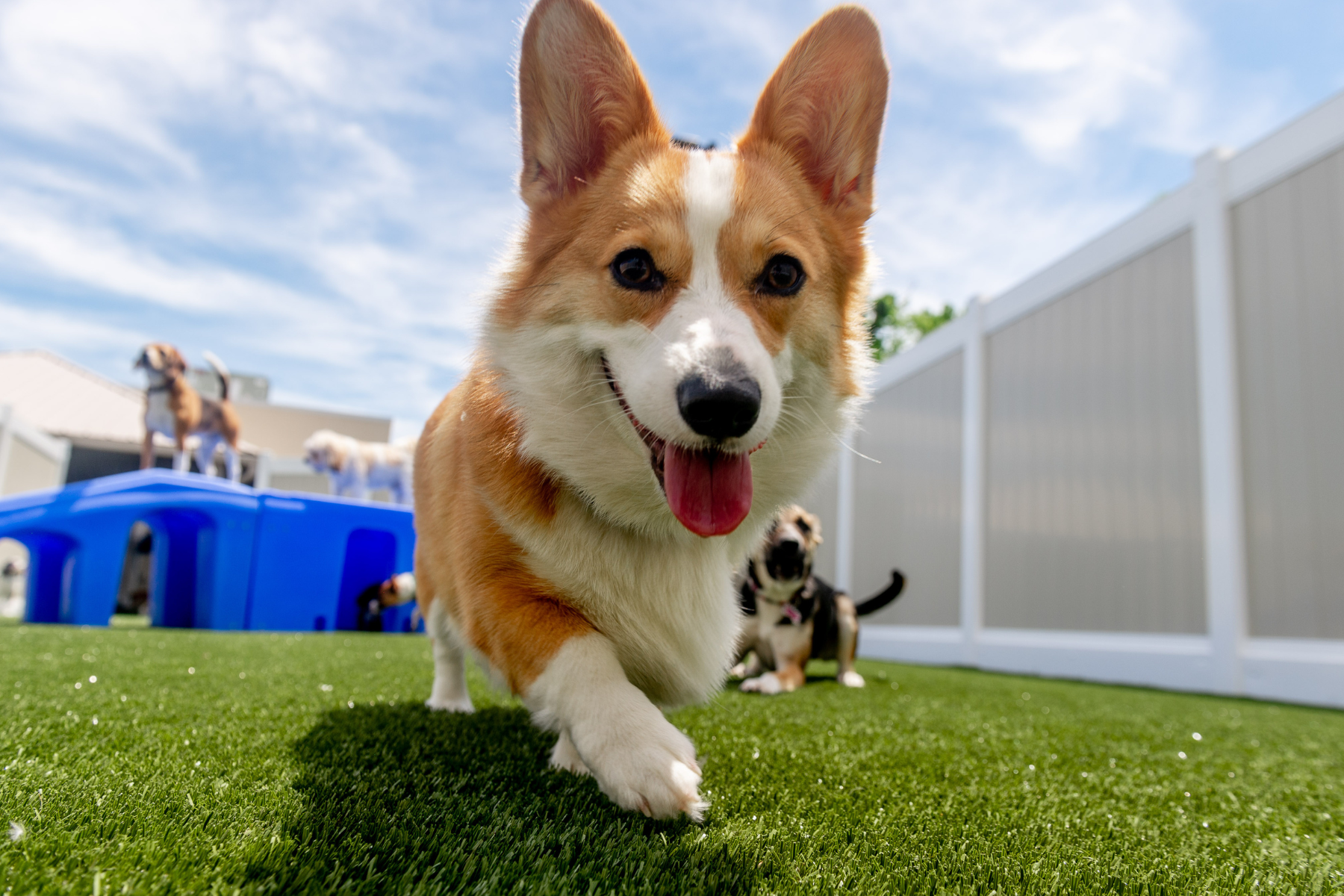 Service image large 2