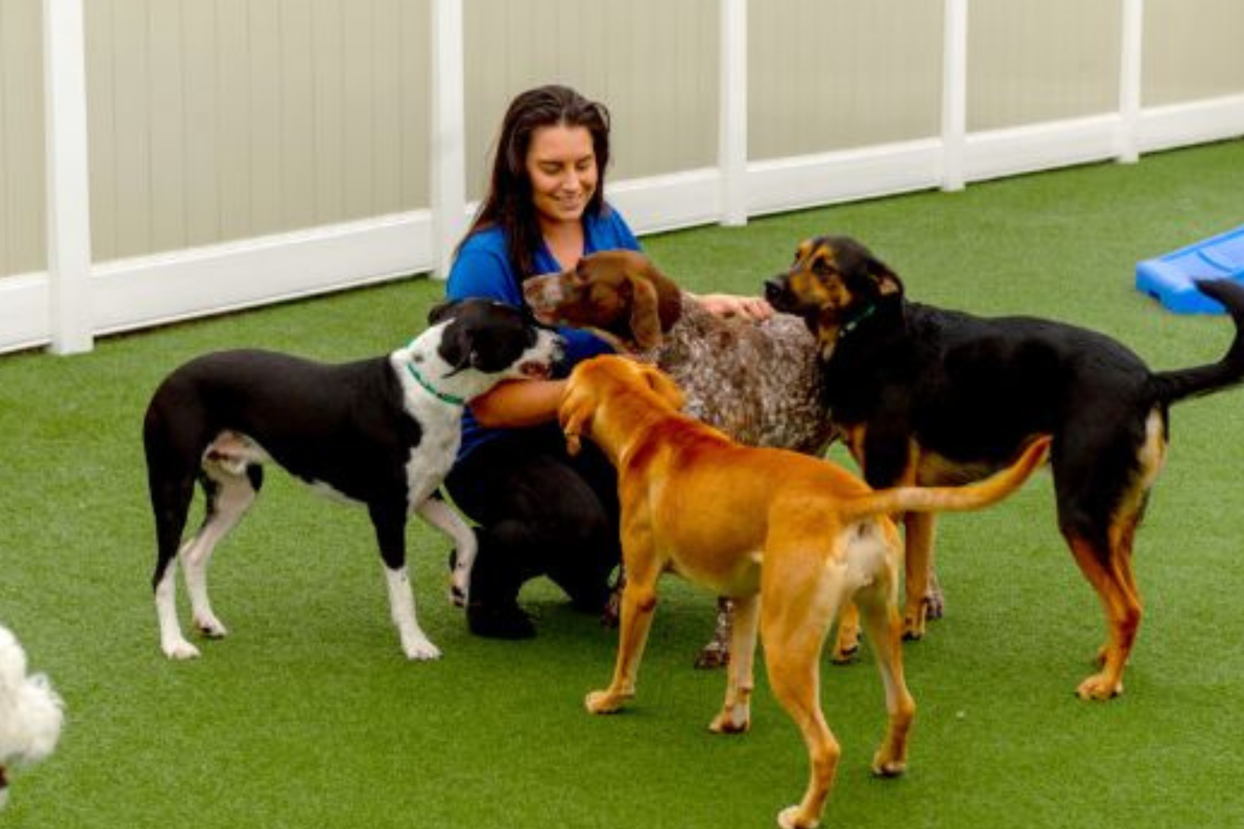 Service image medium 2