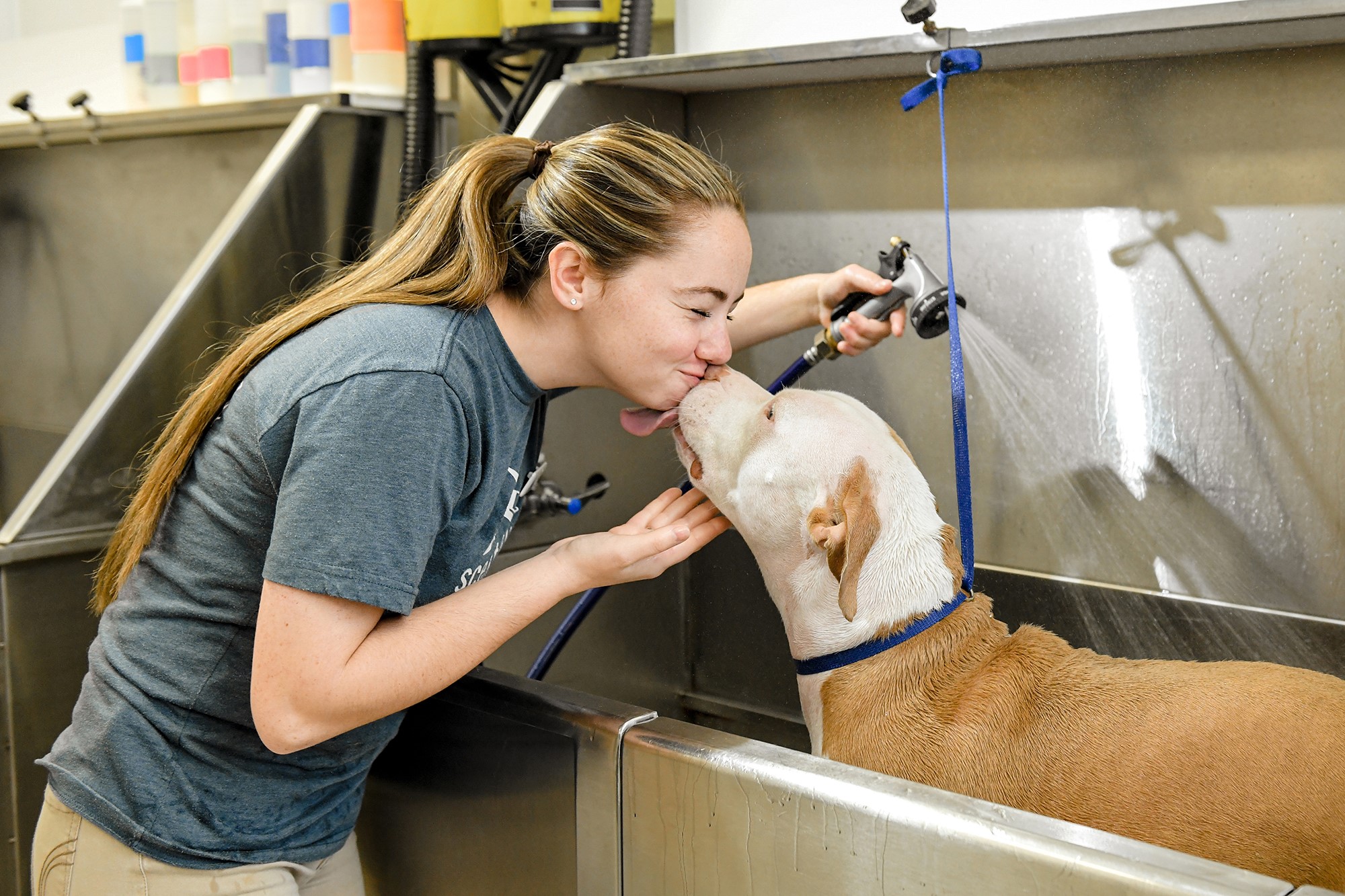 Service image large 2