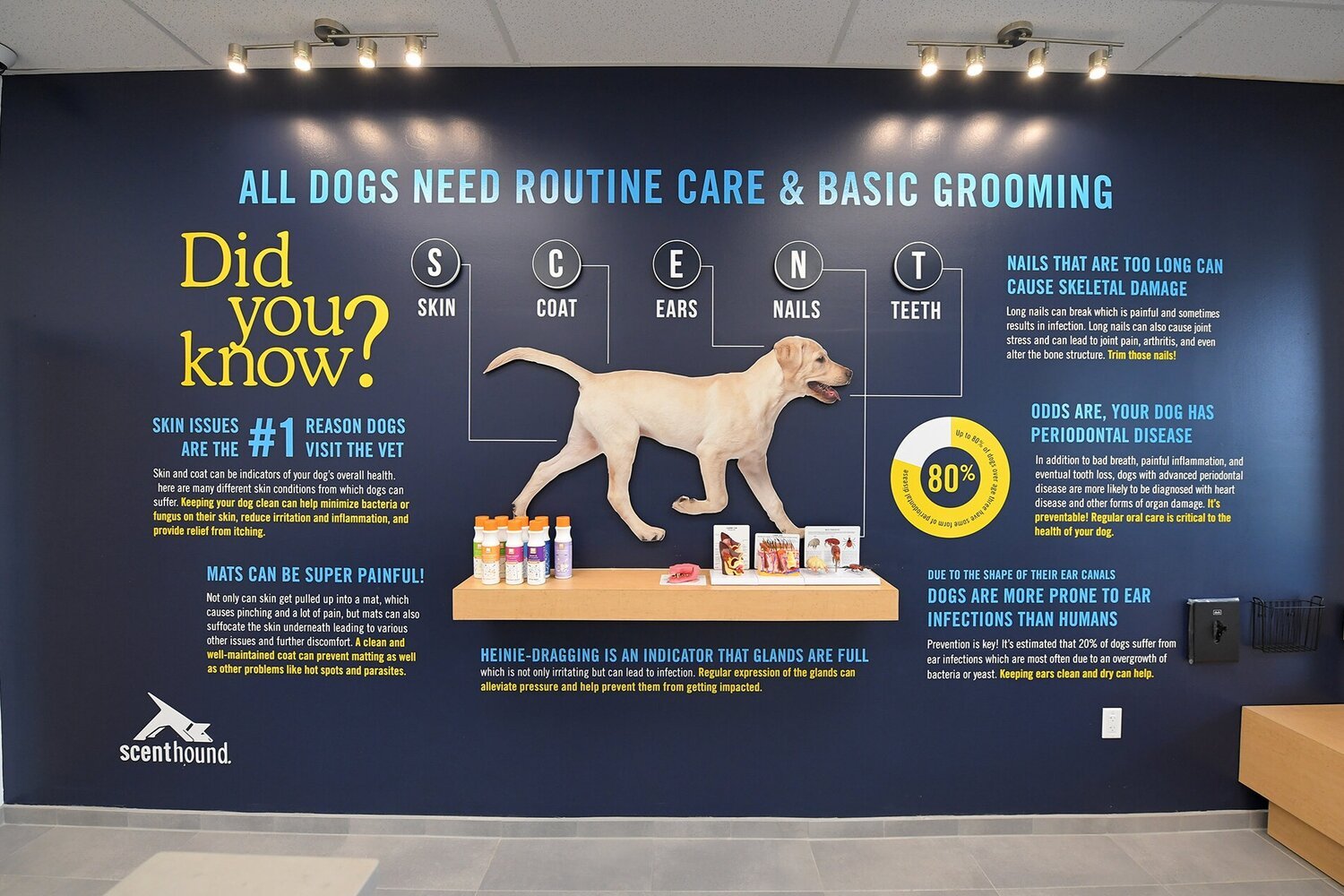 Service image medium 2