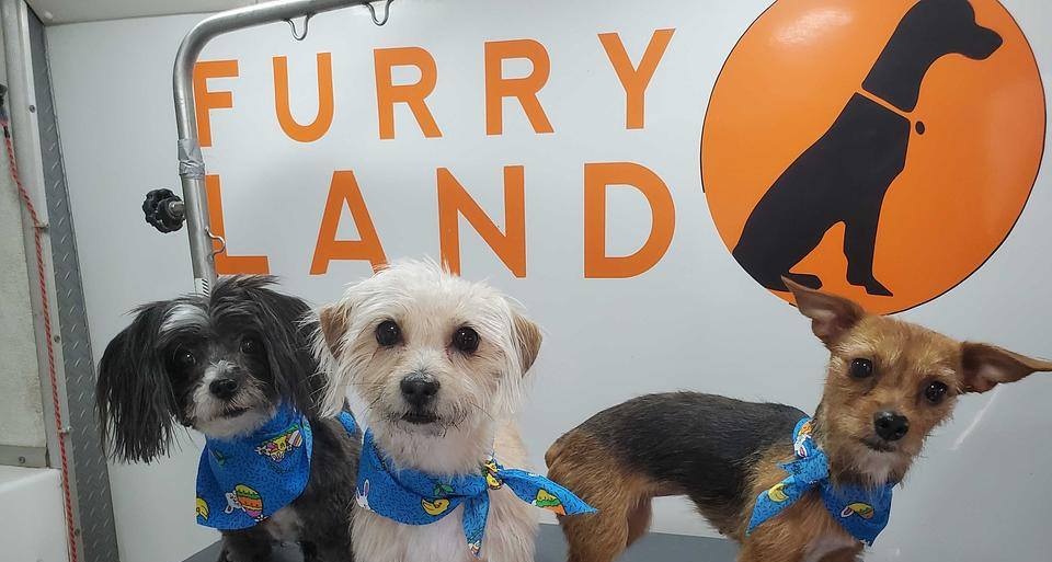 Service image medium 2