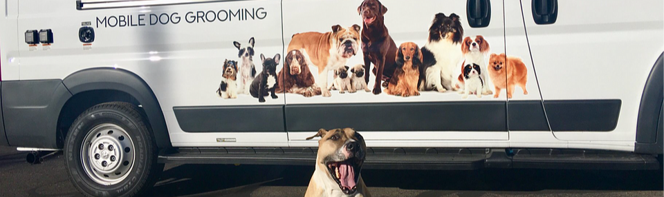 Service image large 2