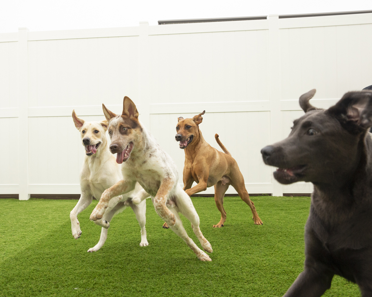 Service image medium