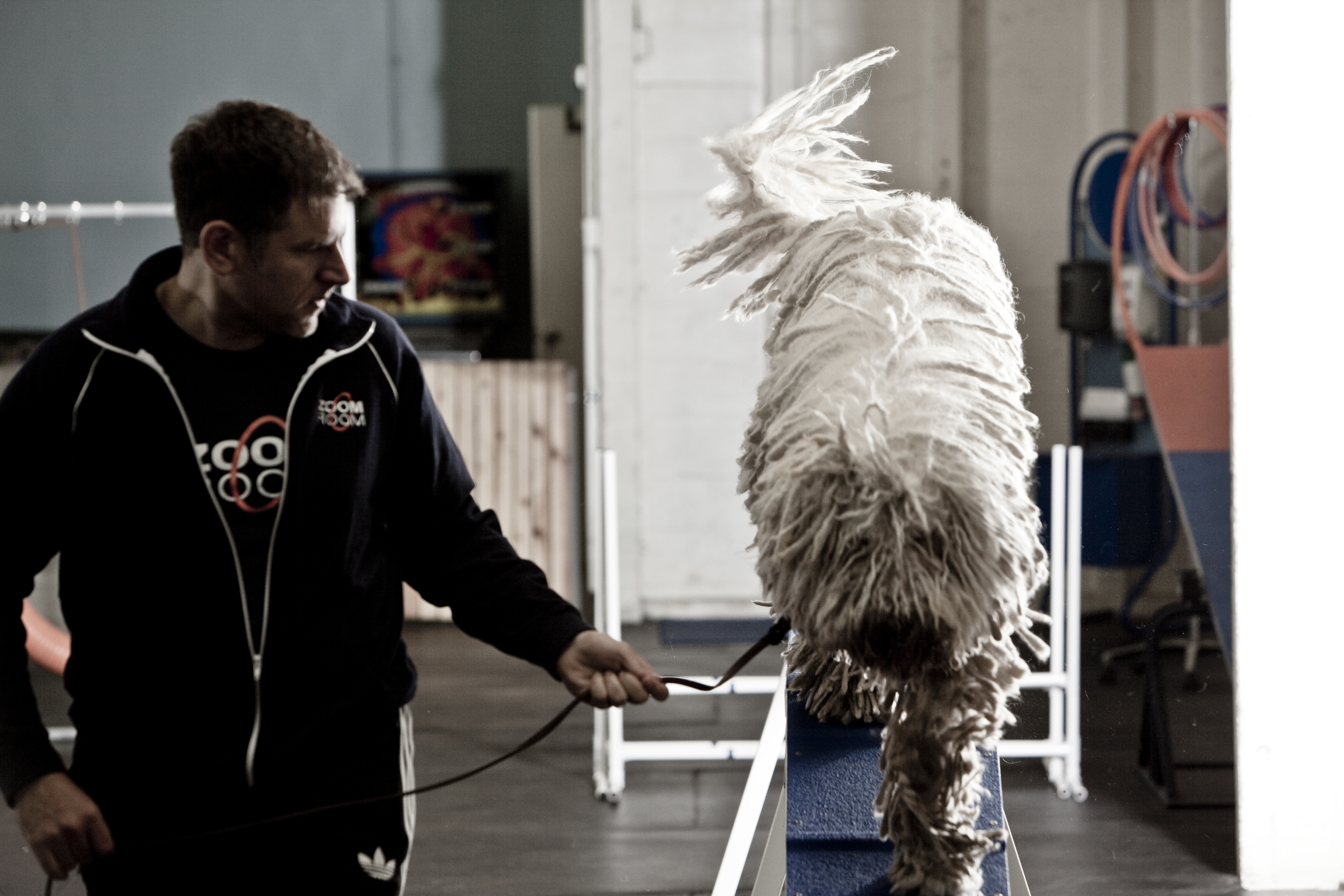 Service image medium 2