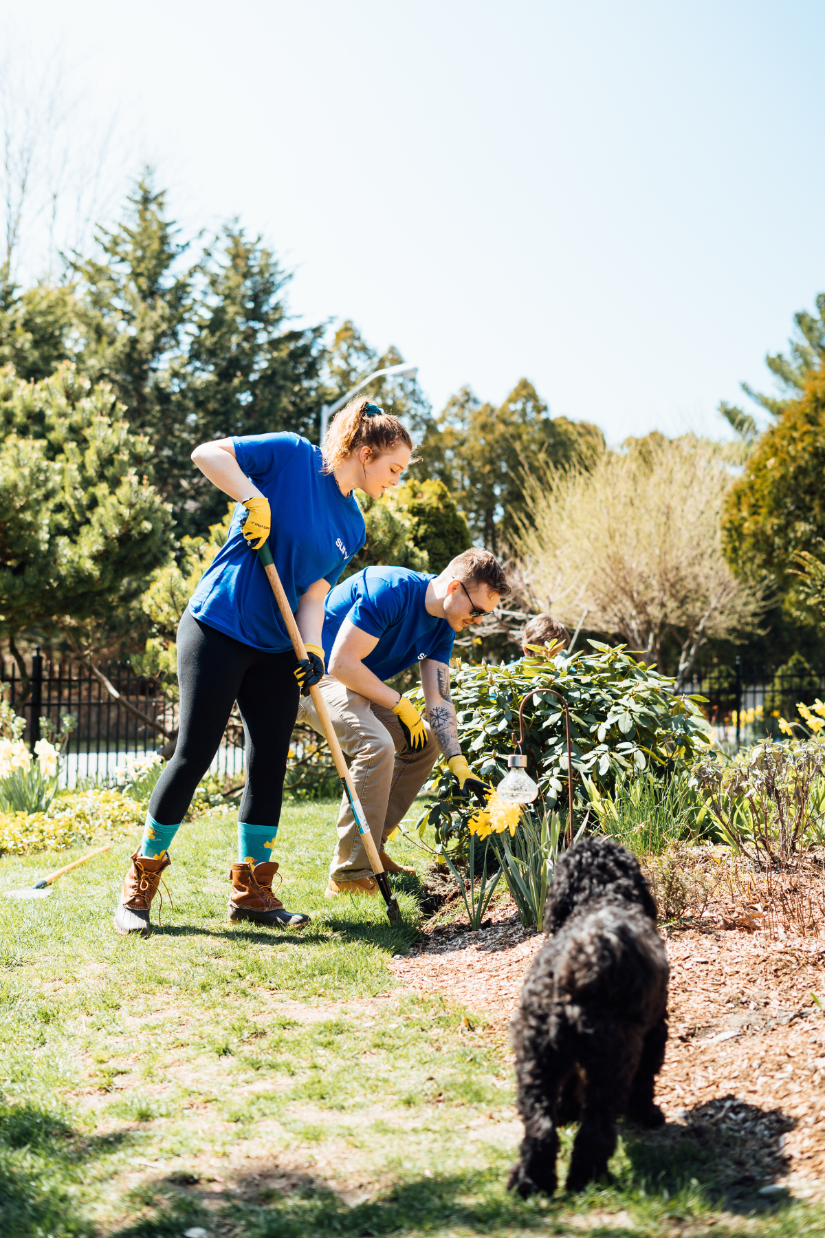 Service image medium