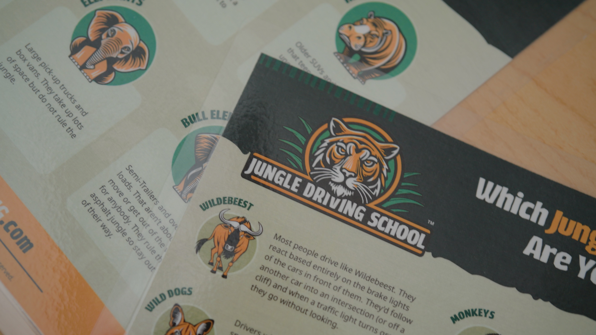 Service image medium 2