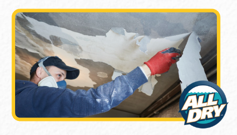 Service image large 2