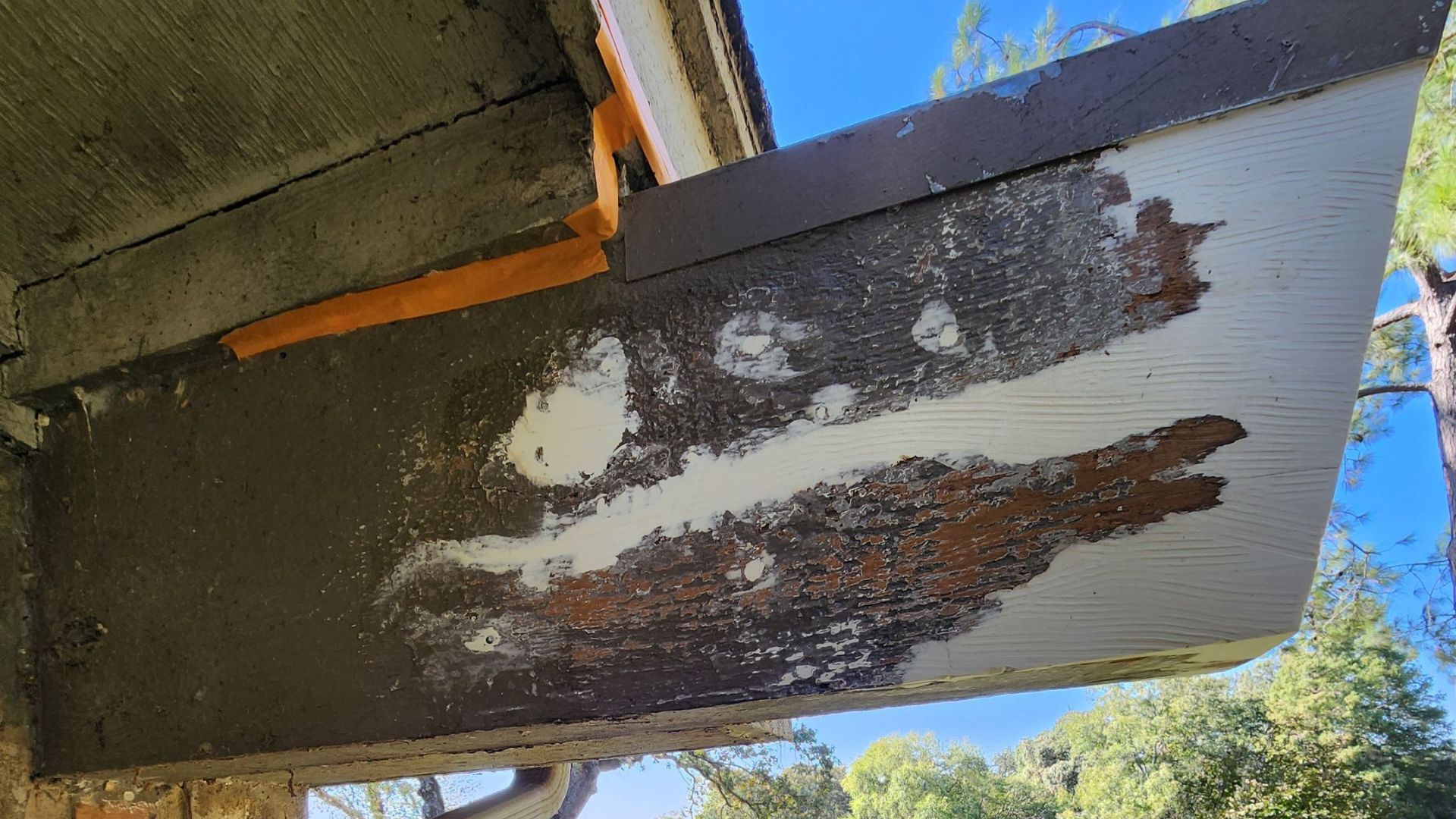 Service image large 2