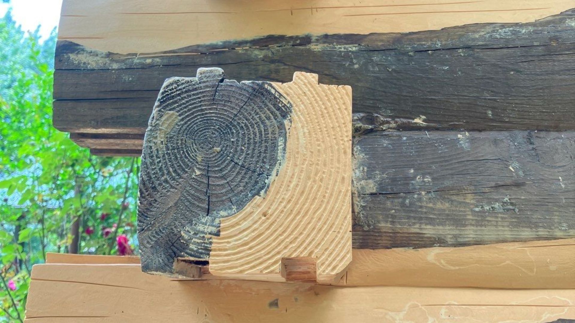 Service image medium 2