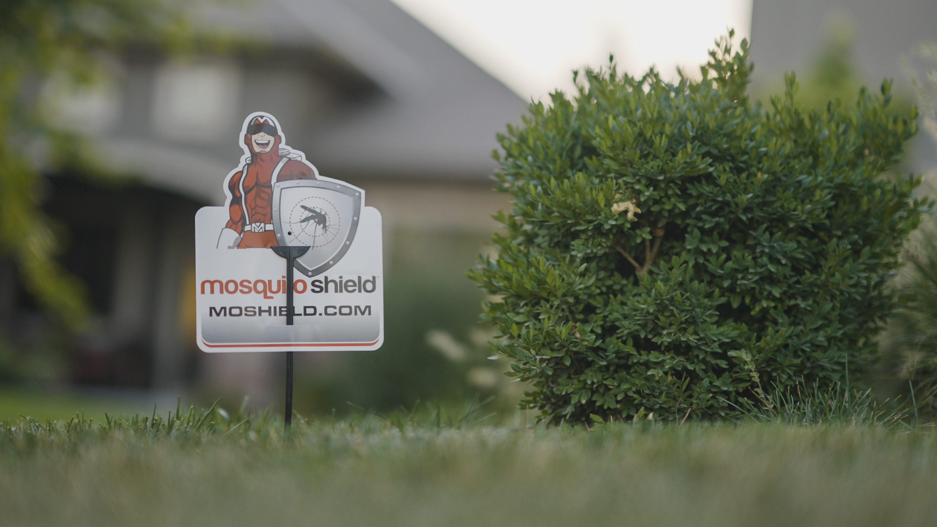 Service image medium