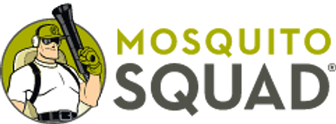 brand logo image