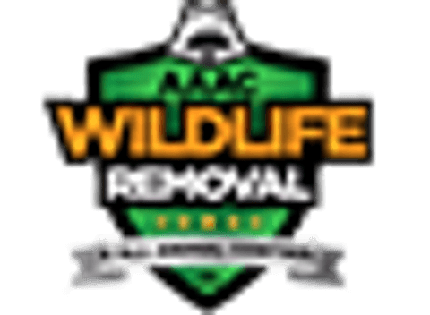 brand logo image