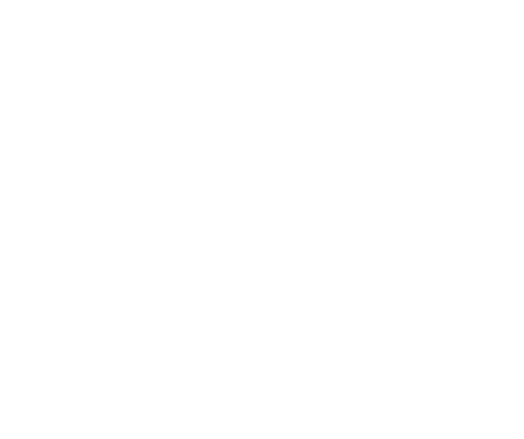 brand logo image