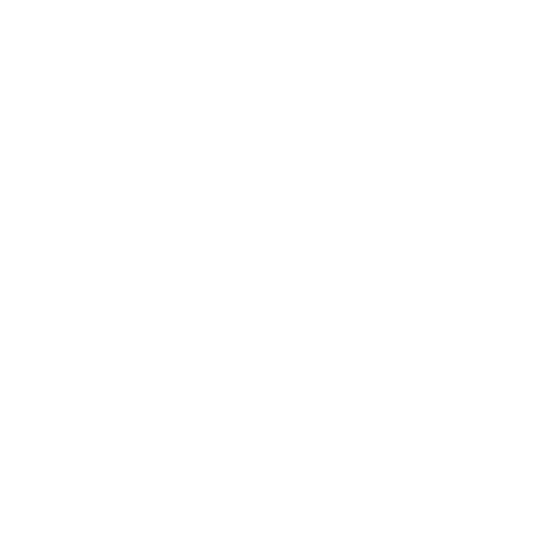 brand logo image