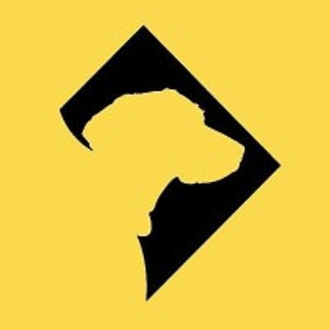 brand logo image