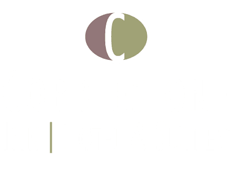 brand logo image