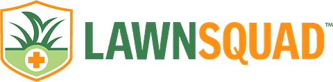 brand logo image