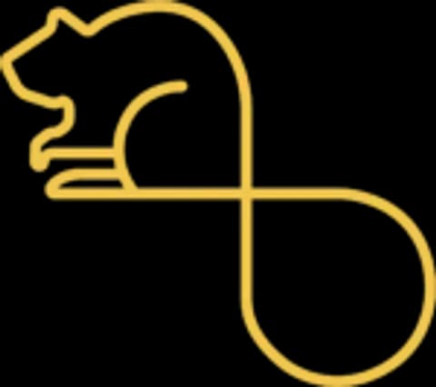 brand logo image