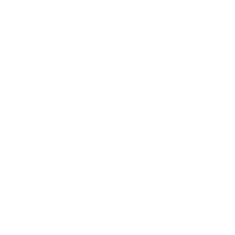 brand logo image