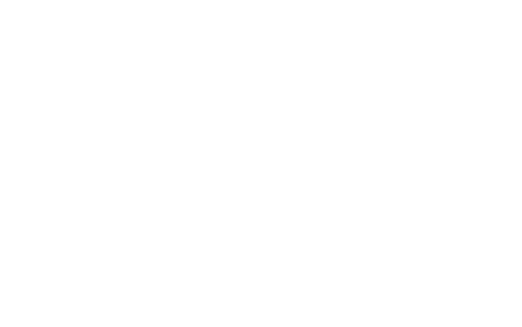brand logo image